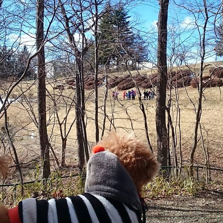 3f6e3788 2957 49aa aaa8 81c6147ff847 1517968111563