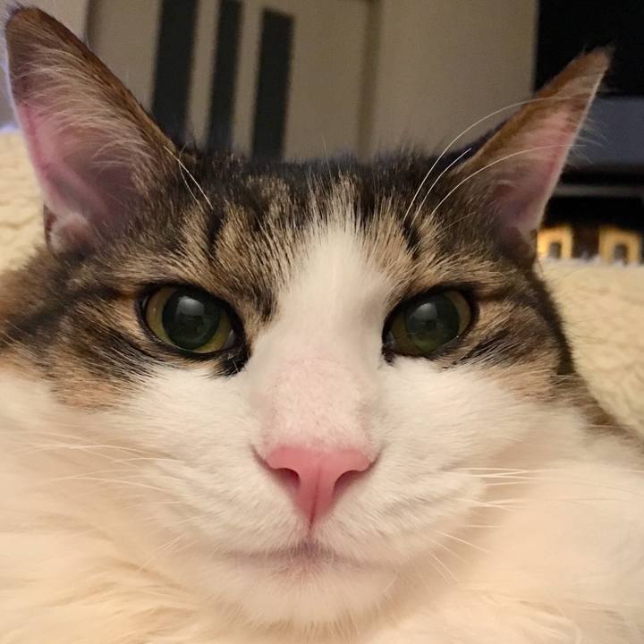 3f6e9001 d27e 4469 b26d 16e696bf3054 1521100462214