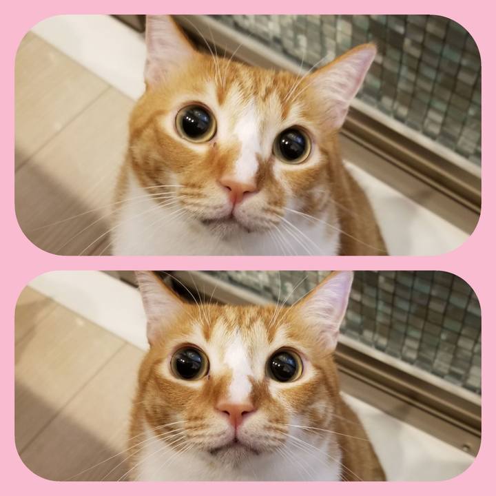 3f6ebcd4 18a2 4802 a035 4cfde32d4e92 1547650811726