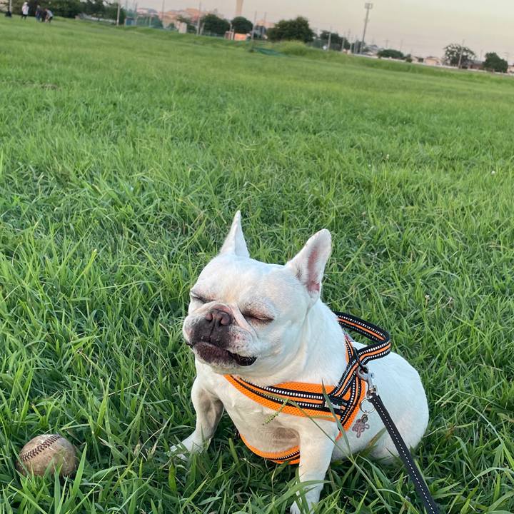 3f6ed621 4cec 4ac9 9cef f90560581daf 1722680443543