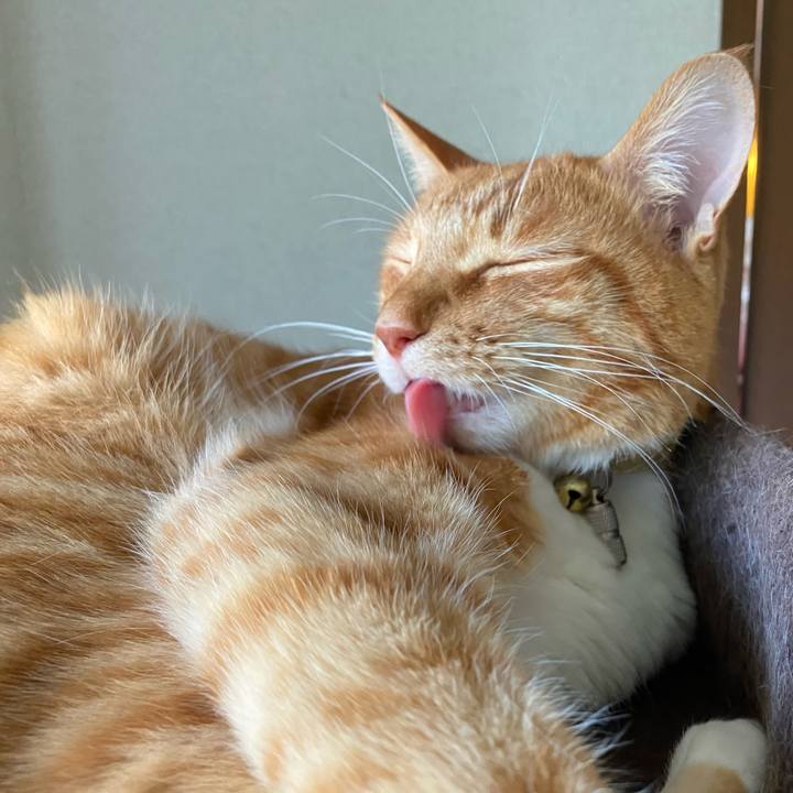 3f6f1baa 6a6a 443f 878a 9509d838aeda 1593593200662