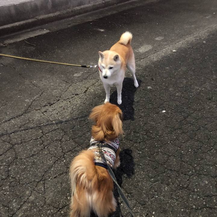 3f6f4c22 c3f1 47db a96c d25574cf372a 1545170634136