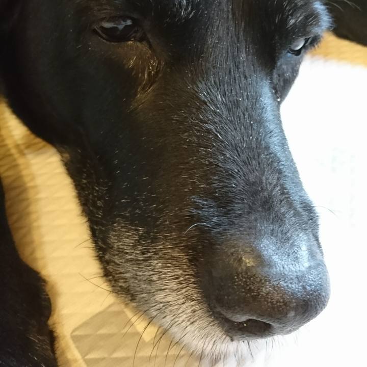 3f6f4f12 ecb0 49ef a673 effde35996dc 1550019458417