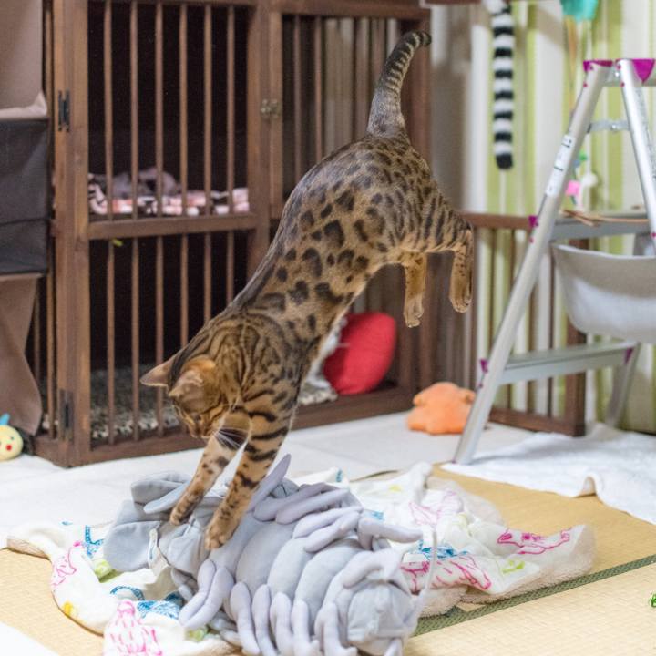 3f6f5505 bcd1 463a a005 280a9986e99f 1519315178909