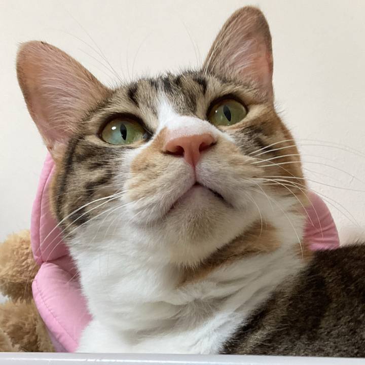 3f6f5697 67fe 47ca ae06 6d91631d64a1 1692401423324