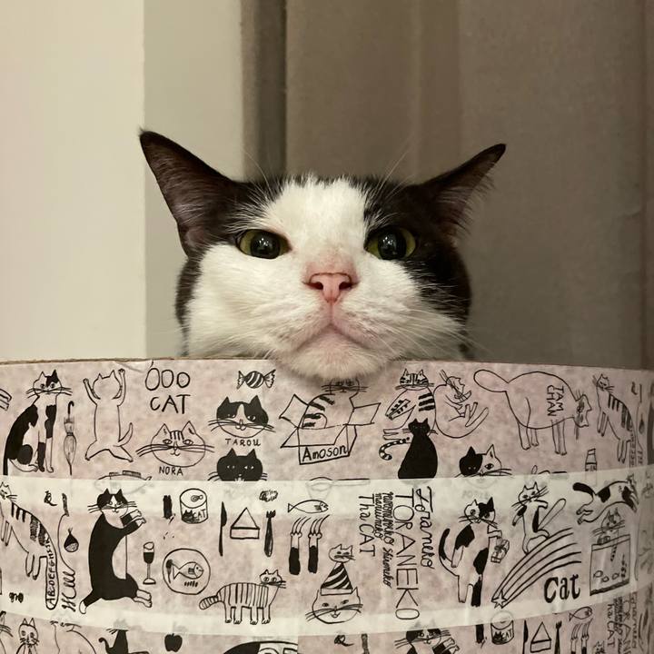 3f6fa81e 127b 47c3 ae6a 55f2803fa60f 1653005888172