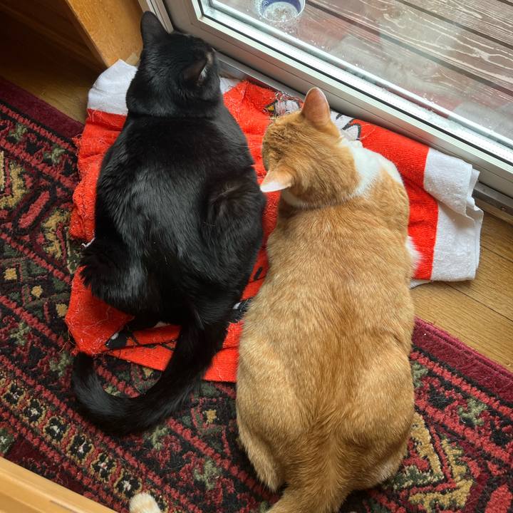 3f6fb612 f344 47db 930b 7cbf14872f81 1680735792952