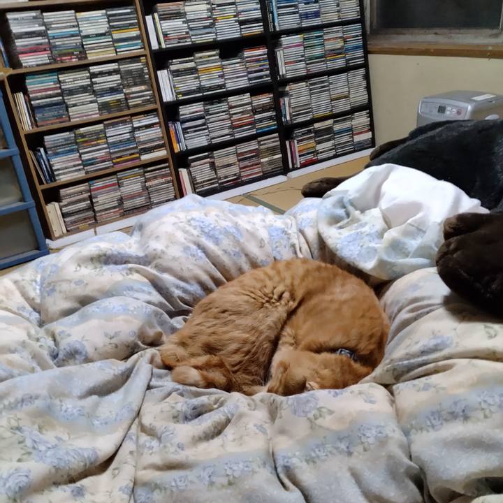 3f70528b 74ef 4d45 b45c 162a778ef7b8 1666950254404