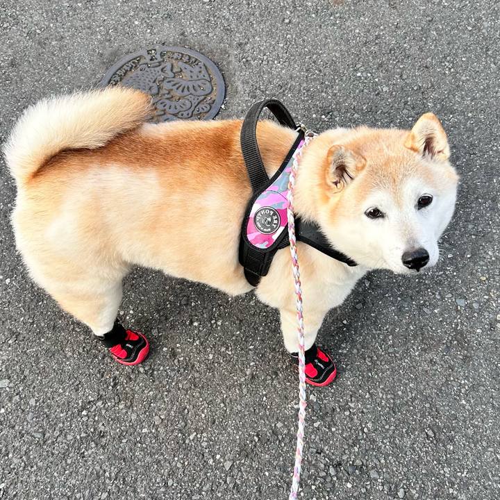 3f707d49 b952 4682 aa0c 0e798ee70ea1 1736327499205