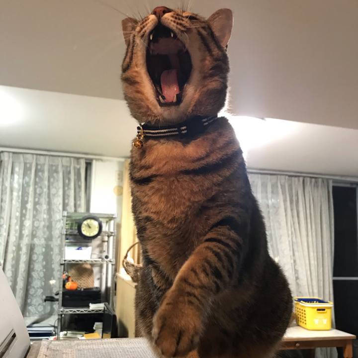 3f70d568 02ed 4fc2 bae5 00128fb2db80 1538747496871