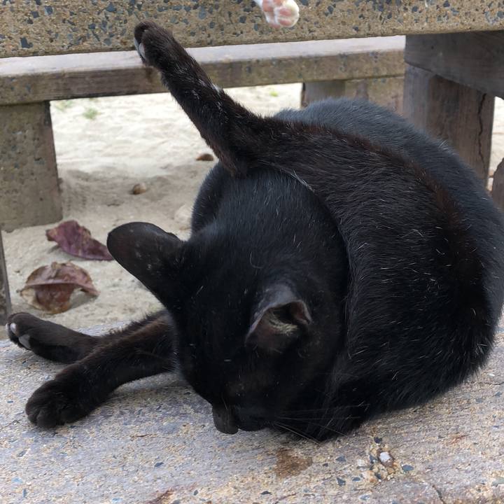 3f70dfaa f7d1 4f6e 8f1b 055565f99699 1543915517250