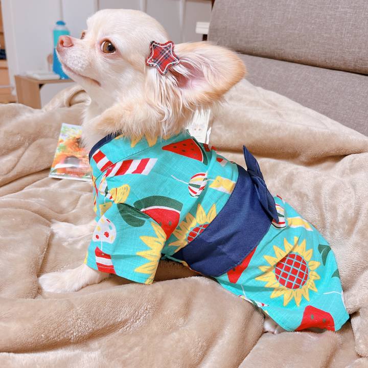 3f70f38e 54b1 4811 a2d1 9f864df48edf 1661495775917