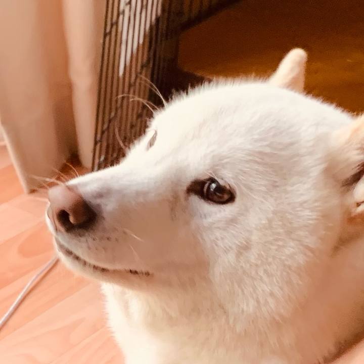 3f711562 f016 44c5 9044 0bf0f233cb79 1617695266748