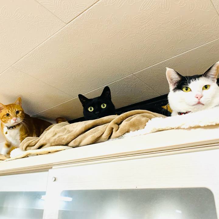 3f711ad1 41c4 4323 8df8 ed5209718e09 1673700995111