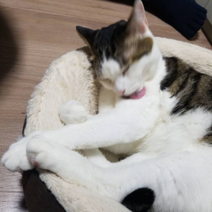 3f71304b 9f50 41a3 b19a 73073f4c4d69 1577014623690