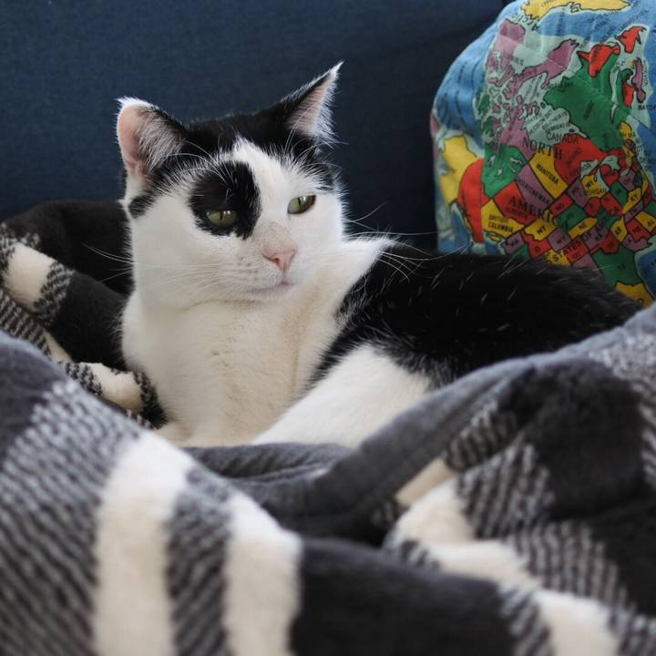 3f7170be 9d5b 48c0 a76b 38c7e43174f7 1515817346208