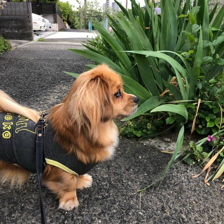 3f717227 aa80 469c aa67 f7c51f103a11 1525211466045