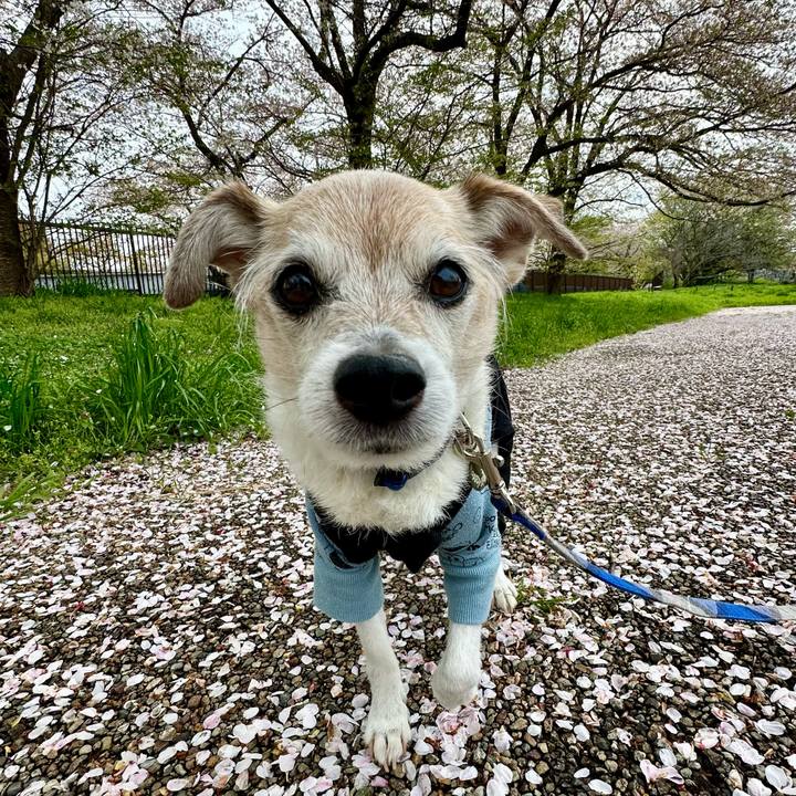 3f71985e d1a3 48fb 9622 5be91a10d497 1744367154647