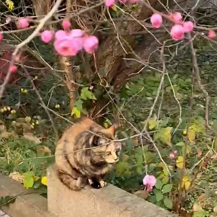 3f71afb1 3e87 497f 906c 10ae7c2da40d 1769049577714