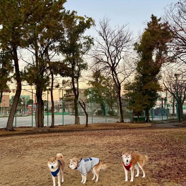 3f71f110 5d03 4af9 9082 14feee27560d 1766420008045