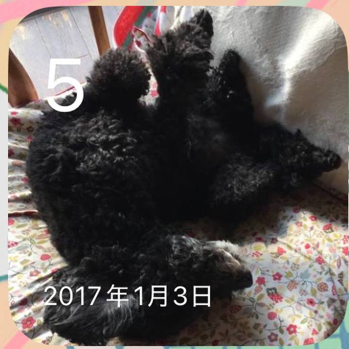 3f72166f eecd 4583 8c3b 3b07c59f5d9d 1767556301208