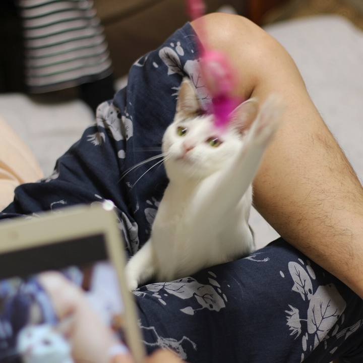 3f723f4d 3c9a 4fb6 a8ac fe3bde62ef7f 1564097886322