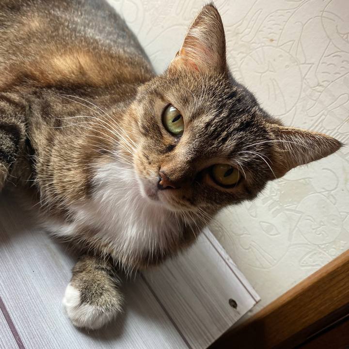 3f724eb9 929c 4b9b ac30 bfda4c8b74e5 1600311622336