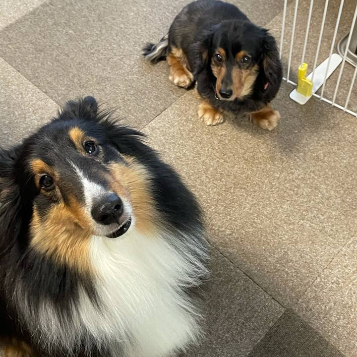 3f727369 5944 4235 97b4 ba6e07142243 1612565429362