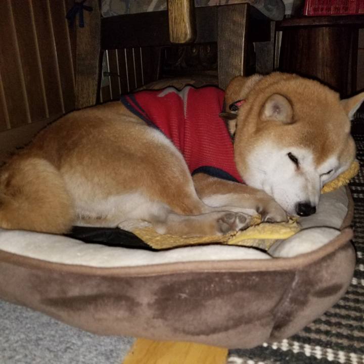 3f727468 2c38 4822 971a 00ca90d4dc5f 1606305287124