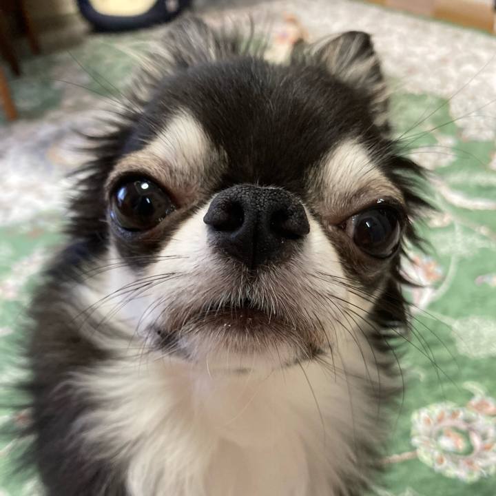 3f728e57 2b26 457a af25 d7b1930955f5 1660400793023