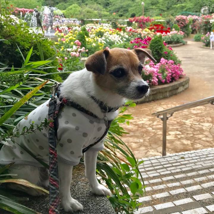 3f72ad83 9c98 4141 be67 779af642ee2d 1559281075752