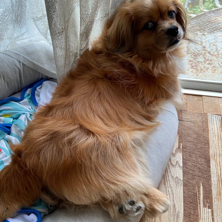 3f72af79 29db 42a4 afa8 3033f7c60e3d 1625002534536