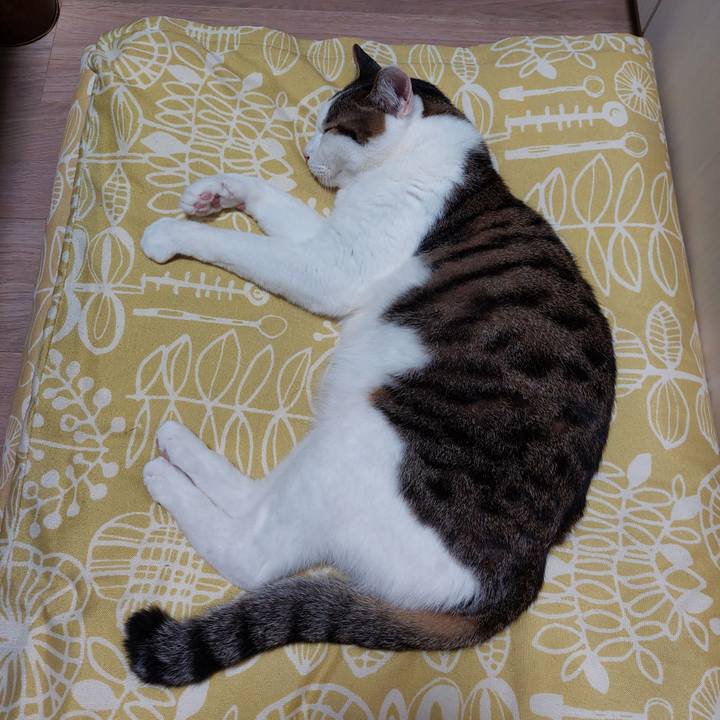 3f72de16 dc28 4ef0 ad9d f7b19fb3ace4 1752060569350