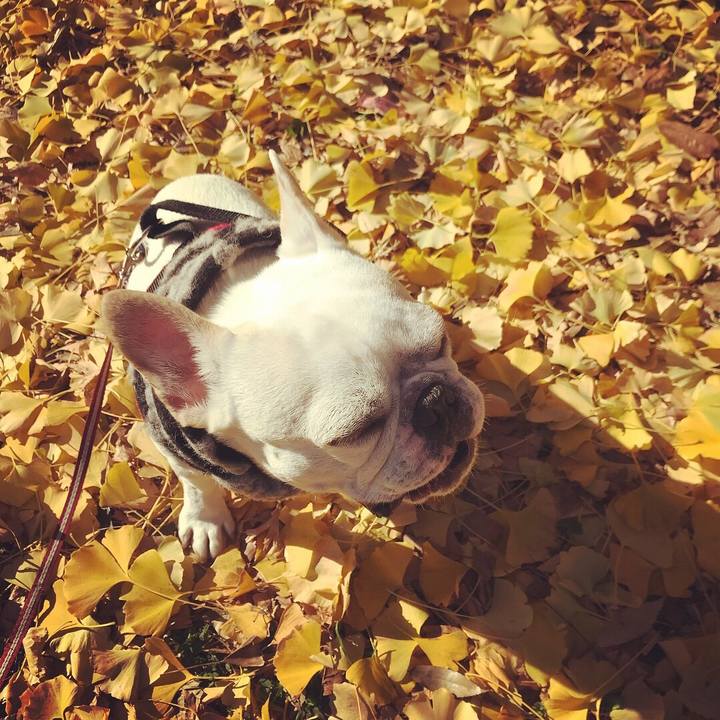 3f73174e 6fc2 4b93 a3b9 3bf09af76aff 1512272400949