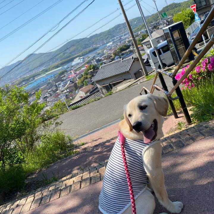 3f733c20 e17b 4715 835e 84c1cf9b6984 1619478457736