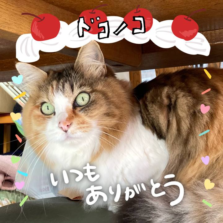 3f739313 8013 46aa a627 c0f42dbfa99e 1685974682802