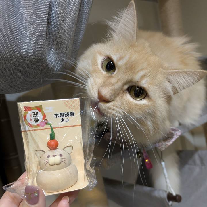 3f73cd6b 65c8 4834 85ae eab9323ac44b 1764579668805