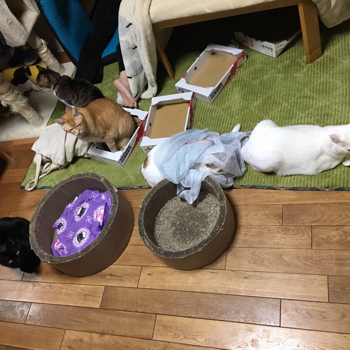 3f73d743 3e72 4e8d 9850 b313134d8e40 1550723331401