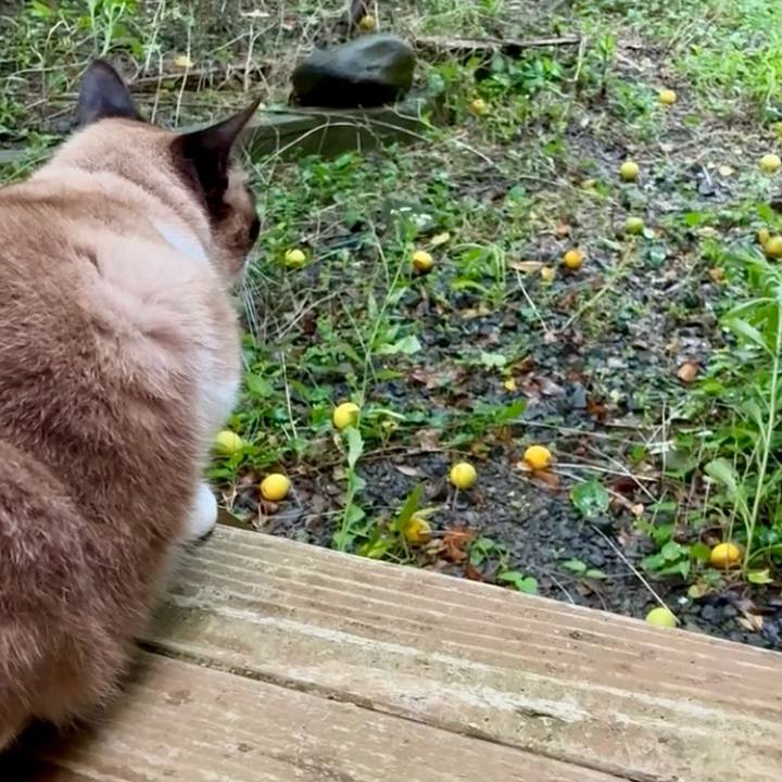 3f73f901 7f32 4a1e 8c90 b8b2abf013f5 1749885833023