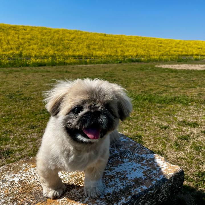 3f74108e c6c3 41e3 8e06 86b0d5a62bdd 1773030454245