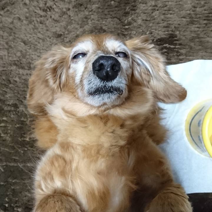 3f741eaf 9f94 42c9 9727 804ec53aa03e 1588441049825