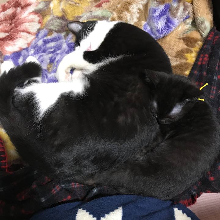 3f742140 947c 4467 a09f 6b9e159ae625 1513839840356