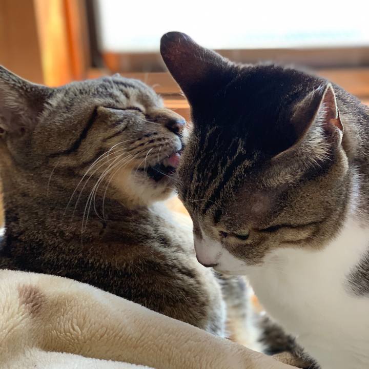 3f742678 3979 4db4 bdcc 4baa5da58668 1584666497473