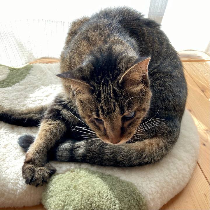 3f742bac 53e9 472c 8714 72ad5b6d7076 1640146997325