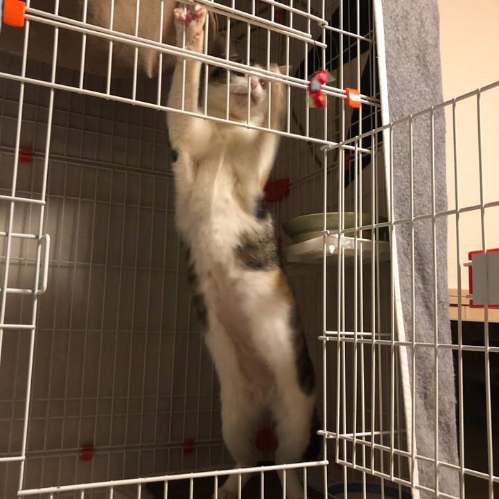 3f7492b2 a669 4122 abe6 6535d7a9d341 1574968165055