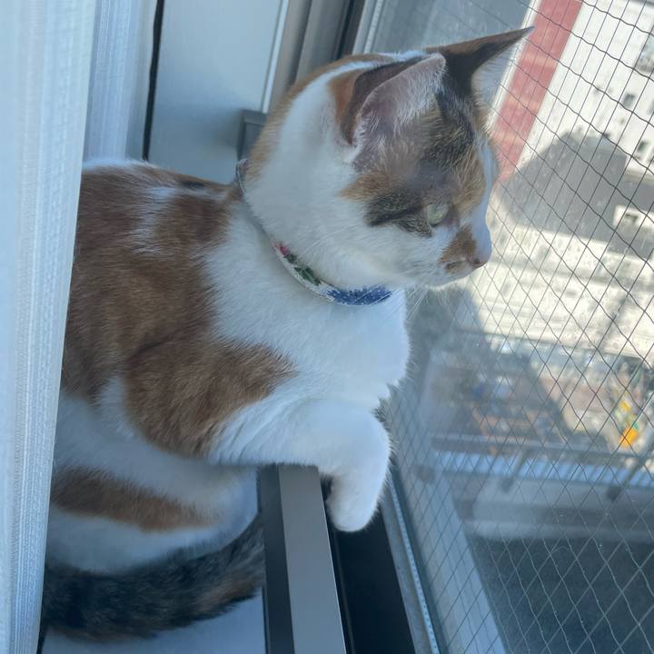 3f749a2b 6292 4143 99d2 3d70c2894ff1 1725233438125