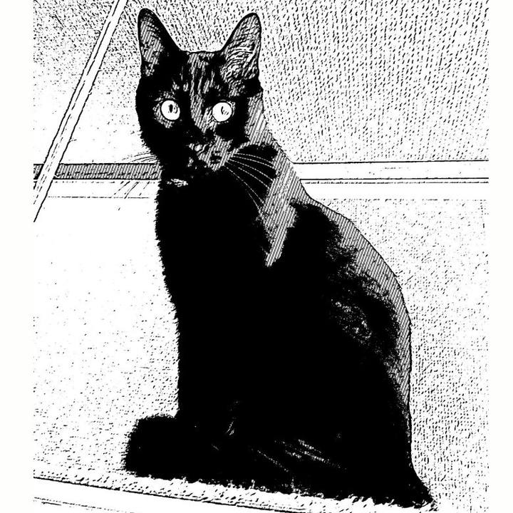 3f74c949 05d6 46a2 ad41 2ef9a7088377 1547259051308