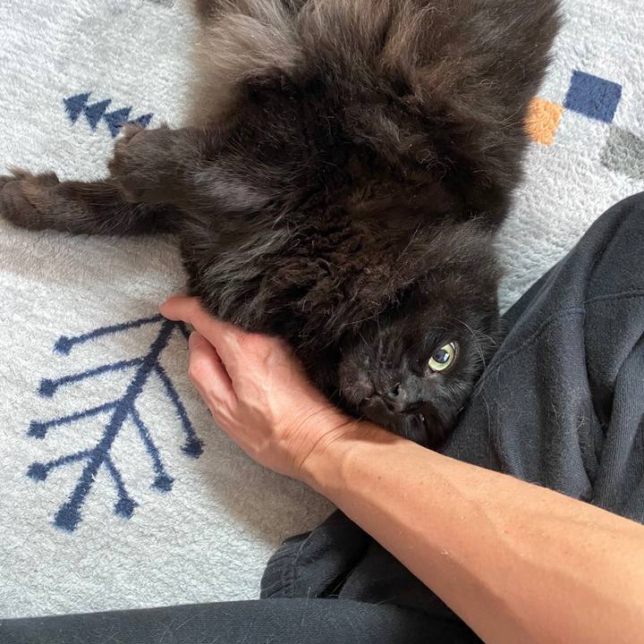 3f74cb7f d361 4f69 8c12 05b3023b1ce7 1595220420222