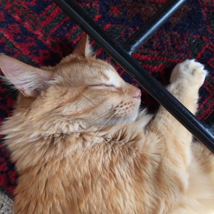 3f74e449 be25 4209 a266 974fcf54a384 1549573488987