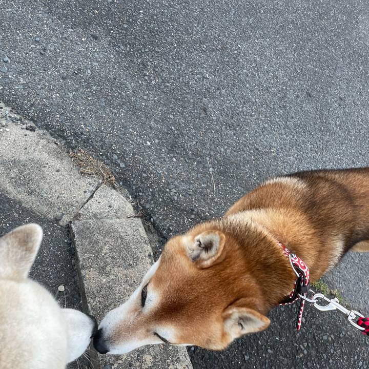 3f752b8d c4b1 43ea 9b25 909fbeab6bda 1726573949722